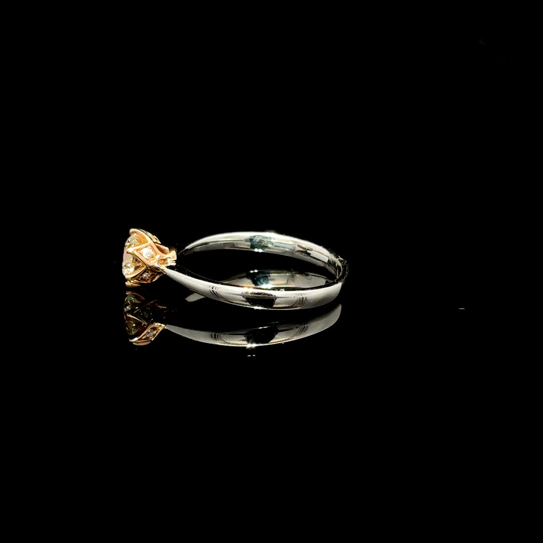 ANILLO DE COMPROMISO