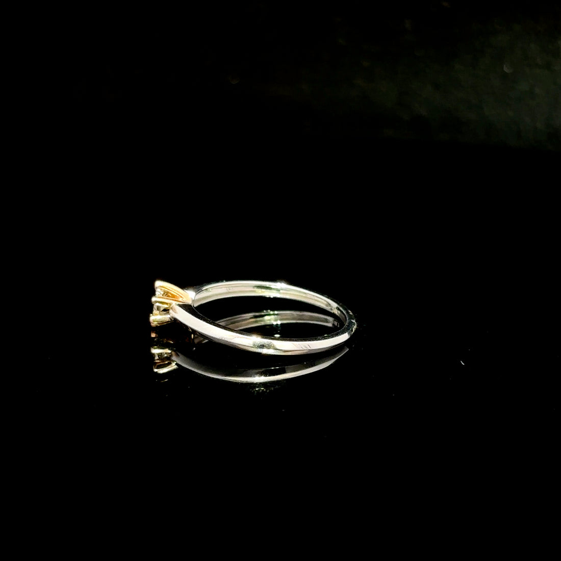 ANILLO DE COMPROMISO