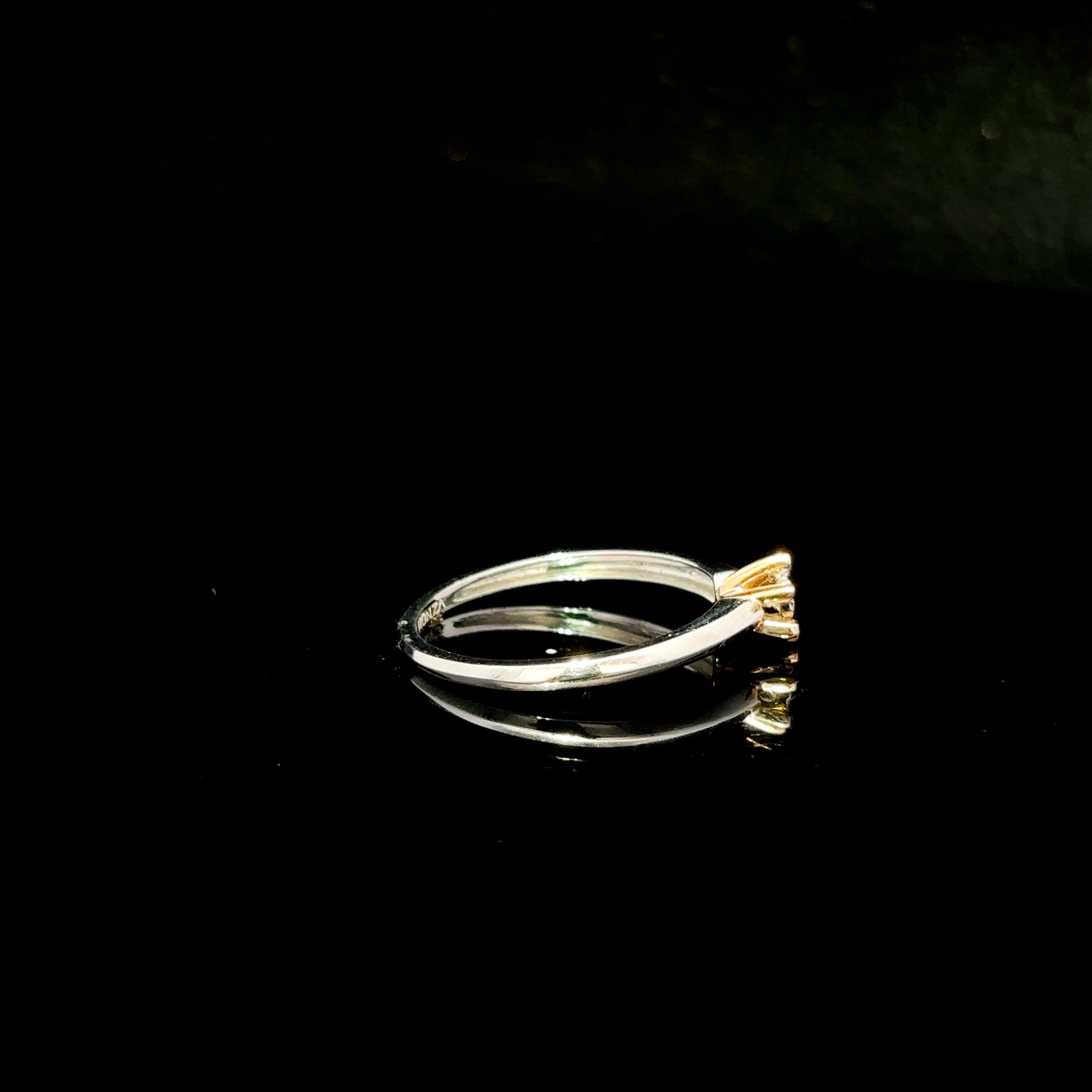 ANILLO DE COMPROMISO