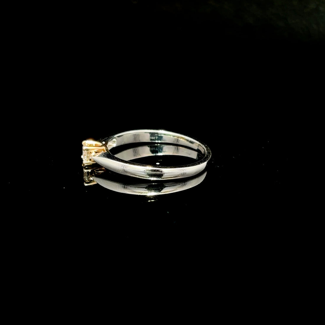 ANILLO DE COMPROMISO