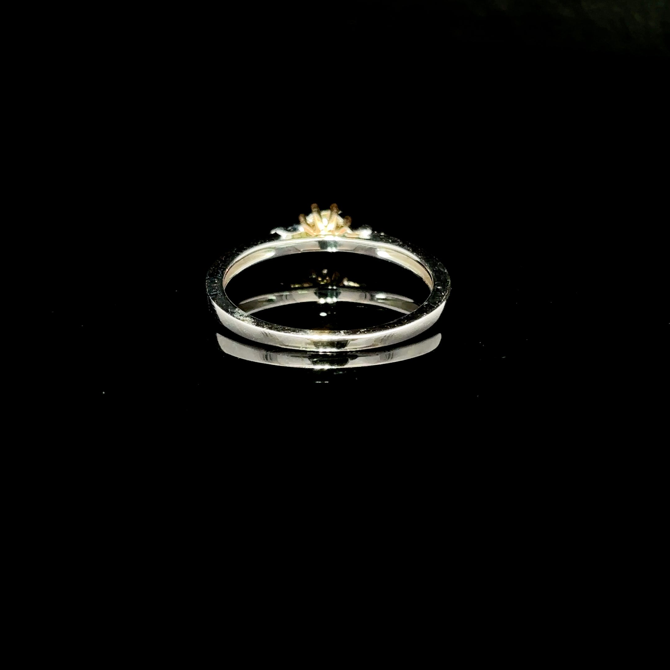 ANILLO DE COMPROMISO