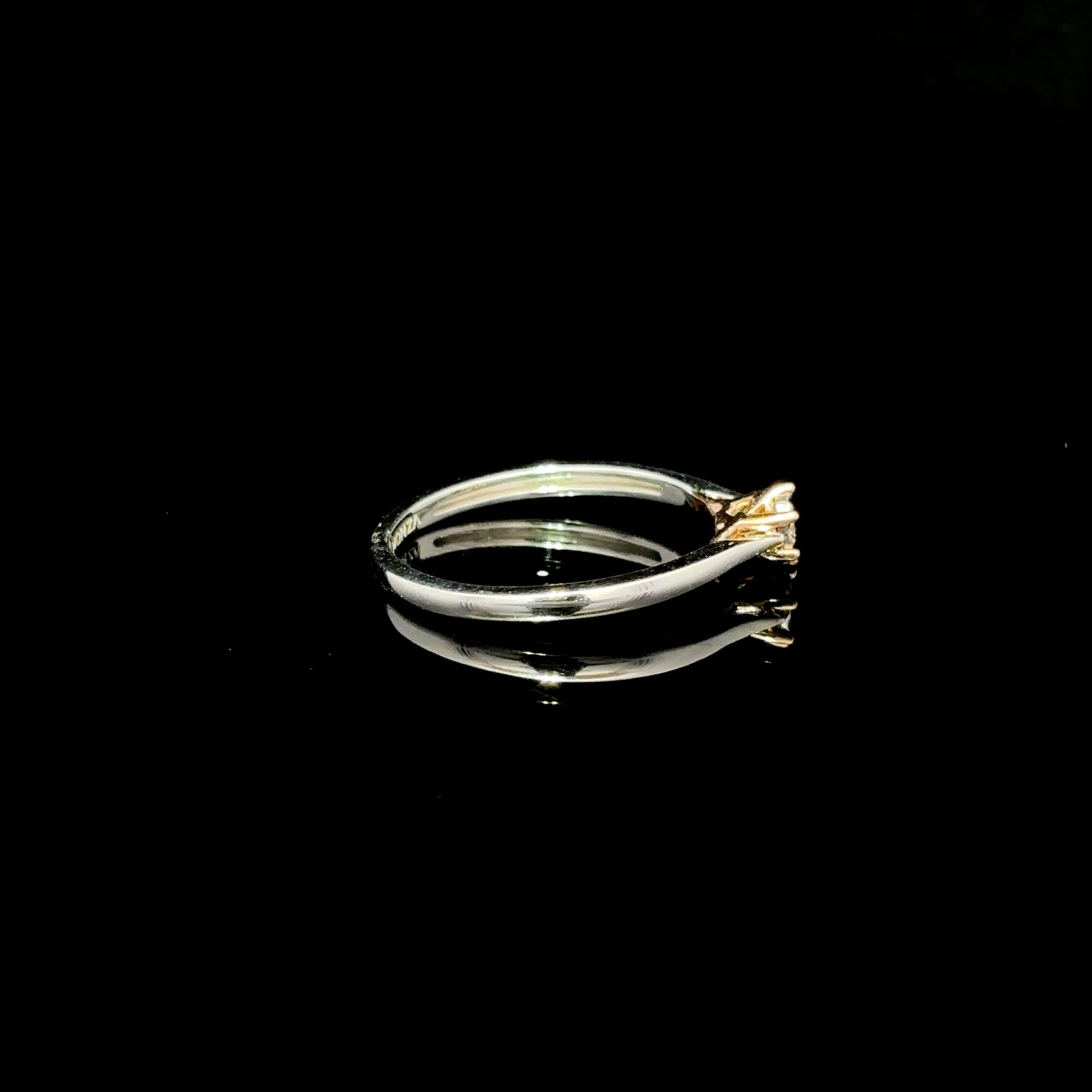 ANILLO DE COMPROMISO