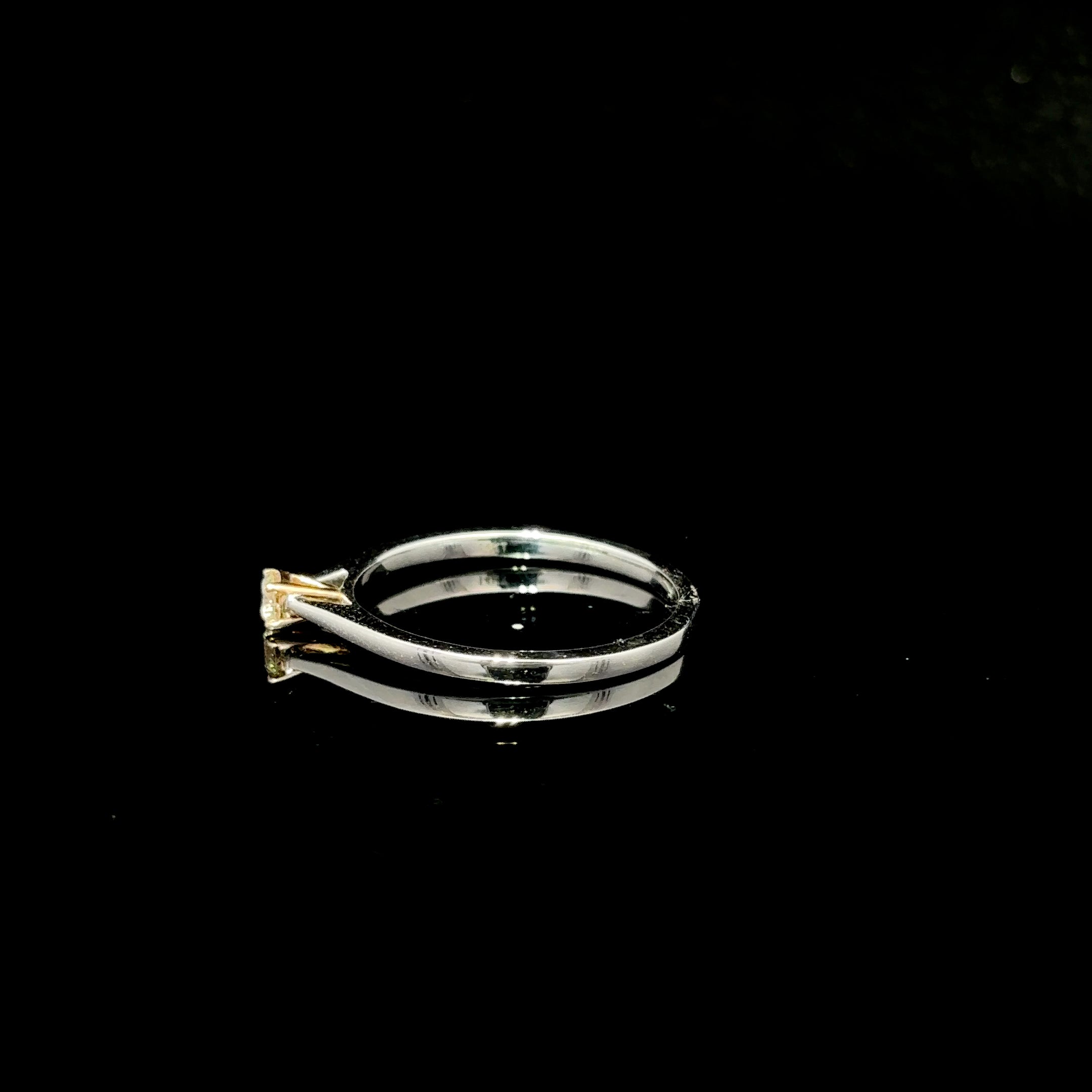 ANILLO DE COMPROMISO