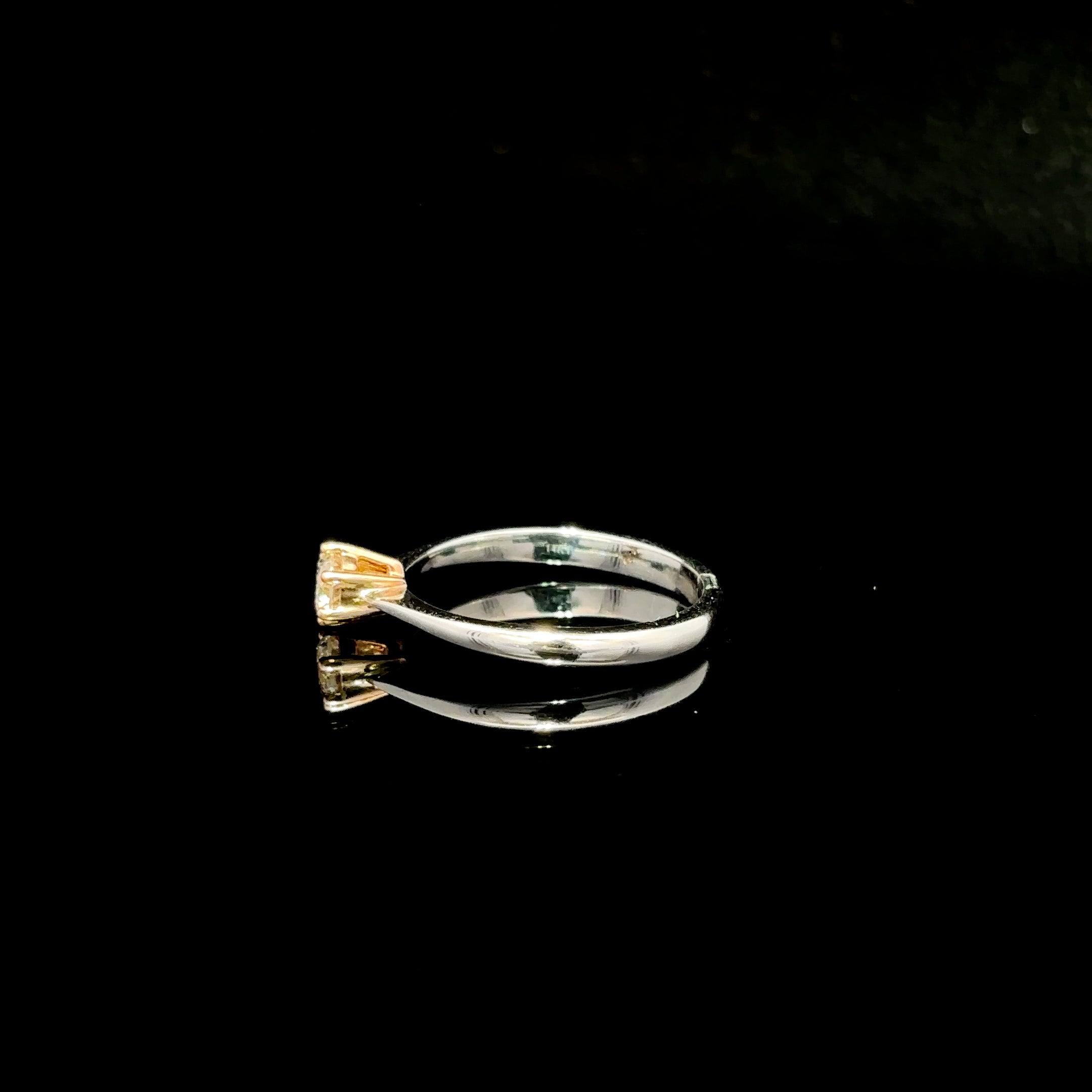 ANILLO DE COMPROMISO